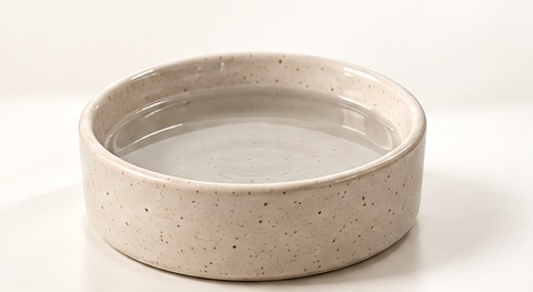 Ceramic water bowl